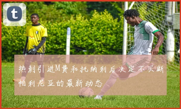 热刺引进M费和托纳利后决定不买断帕利尼亚的最新动态